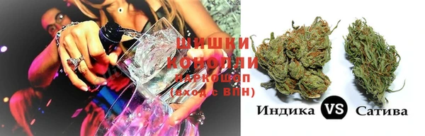 бошки Ладушкин