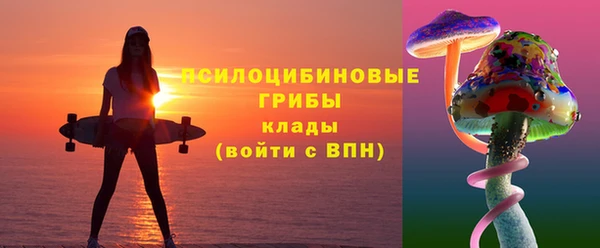 бошки Ладушкин