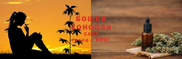 spice Лагань