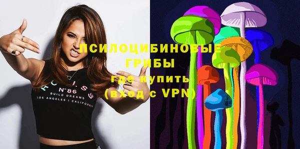 бошки Ладушкин