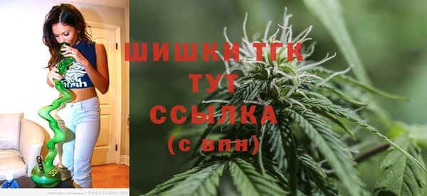 spice Лагань